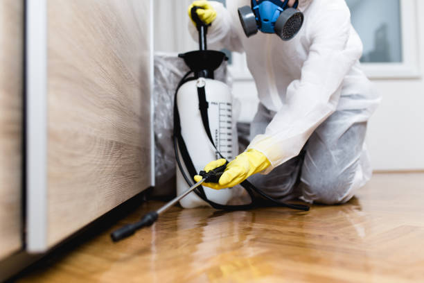 Best Cockroach Control Services  in Elizabeth, CO
