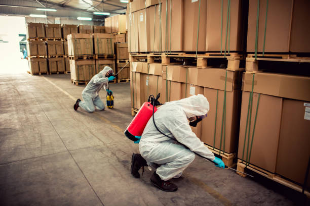 Trusted Elizabeth, CO Pest Control Experts