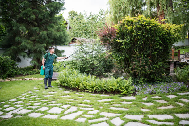 Best Mosquito Control Services  in Elizabeth, CO