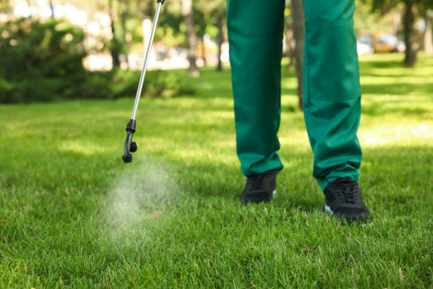 Best Pest Control Treatment  in Elizabeth, CO