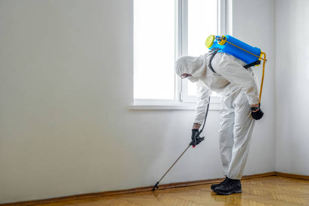 Best Best Pest Control Companies  in Elizabeth, CO
