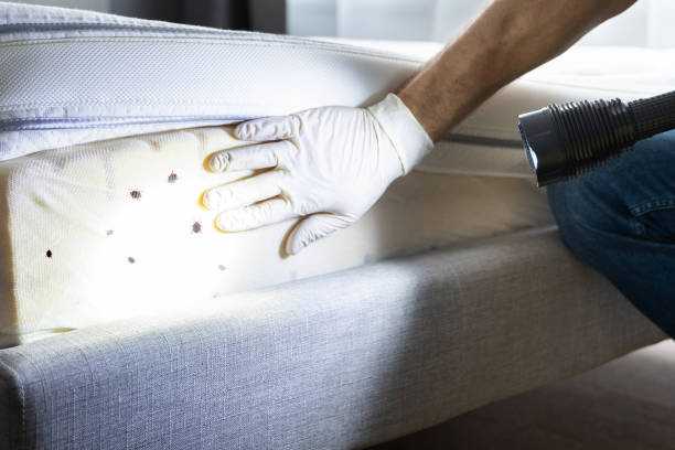 Best Bed Bug Extermination  in Elizabeth, CO