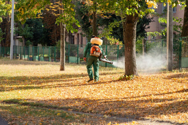 Best Pest Removal Services  in Elizabeth, CO