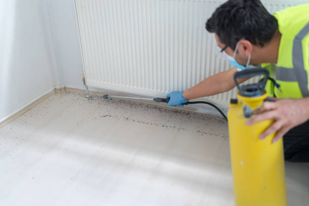 Best Best Pest Control Companies  in Elizabeth, CO