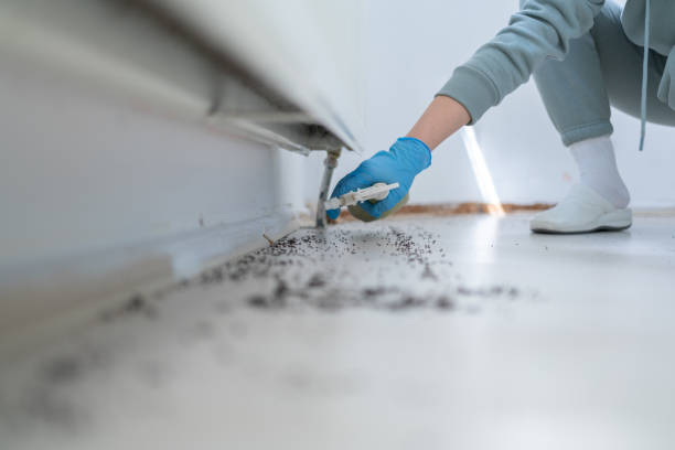 Best Mosquito Control Services  in Elizabeth, CO