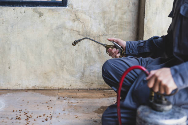 Best Local Pest Control Services  in Elizabeth, CO